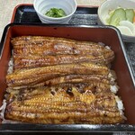 Unagi Fukutake - 