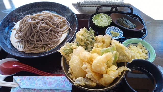 菫（スミレ） - 近文（そば）の写真