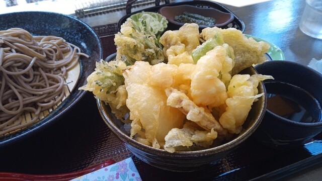 菫（スミレ） - 近文（そば）の写真