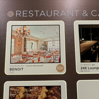 Benoit Alain Ducasse - 