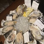 THE CAVE DE OYSTER - 