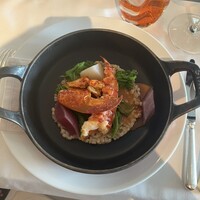 Benoit Alain Ducasse - 