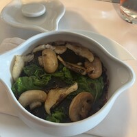 Benoit Alain Ducasse - 