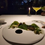 レフェルヴェソンス - 