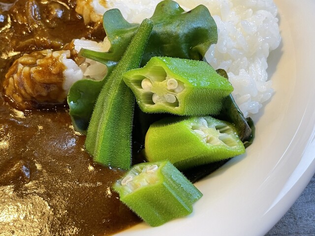 ガーデンカフェ（GARDEN CAFE） - 藤島（カフェ）の写真