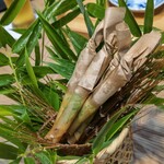 御料理 良所 - あれ？鮎がいないぞ！？