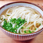 手打ちうどん ぶれーど・う - かけ