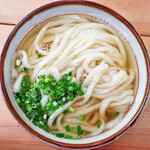 手打ちうどん ぶれーど・う - かけ