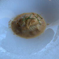International cuisine subzero - 