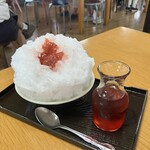 菊水苑 - とちおとめ