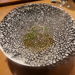 セララバアド - 夜海