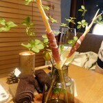セララバアド - イケバナ　ハモン