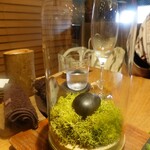 セララバアド - ペトリコール　ゲオスミン