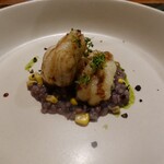 セララバアド - 夜海