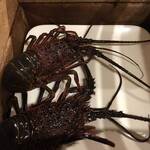 伊勢海老　海鮮蒸し料理　華月 - 