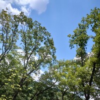 炅 - 晴れ　