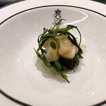 SALONE 2007 - インサラータ ディ リーゾ 貝とアグレッティ（2023.7）