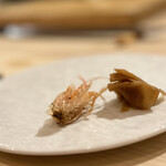 鮨 赤酢 かなやま - 