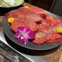 黒毛和牛ヘレ肉専門店 炭火焼肉 りきちゃん 北浜店 - 
