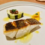 mieux restaurant - すずき　水茄子　コリンキー　ソースはオリーブオイルと洋梨に青唐辛子？