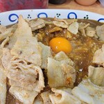 スタミナカレーの店 バーグ - スタミナカレーアップ