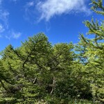 ユーリカ - 日差しは強いけれど、気温は17℃。風が心地良いです