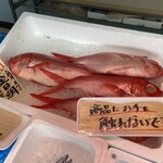 まるせん 木村屋 - 