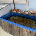 まるせん 木村屋 - 