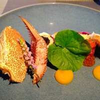 The Grill on 30th - 毛蟹と夏野菜のサラダ仕立て