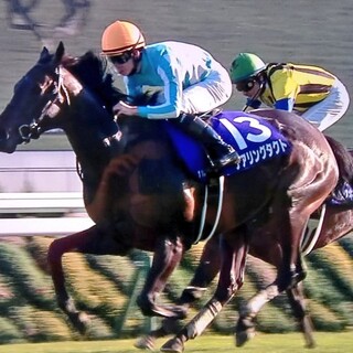 JRA所属騎手松山弘平選手が公式アンバサダーに就任