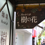 樹の花 - 土曜12:58頃訪問 → 13:20頃着席