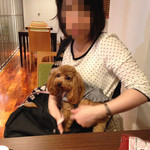 トラットリアチンクエポンテ - ワンコのテラス席は、元通路だった部分を改装して作った模様。