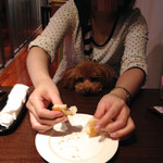 トラットリアチンクエポンテ - ニコル、バケットをガン見(笑)