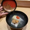 弧柳 - 