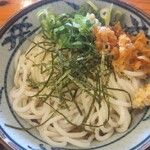 Kompira Seimen - 冷たいぶっかけ並の細麺