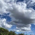 カフェ シュシュ - 