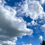 カフェ シュシュ - 