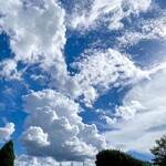 カフェ シュシュ - 