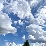 カフェ シュシュ - 