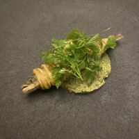 ライラ -  ライラ -