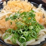 ひうち灘 - 海老天うどん