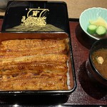 Unagi Maehara - 