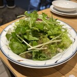 Manami Sousaku Chichuukai Baru - 小野農園の有機野菜サラダ