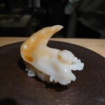 Ebisu Sushi Fuji - 石垣貝