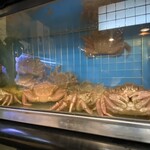 おたる 魚亭 - 料理写真:蟹さん、いっぱい！