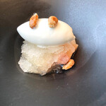 unito - 白桃のコンポート、タイムのジェラート、カンチータ