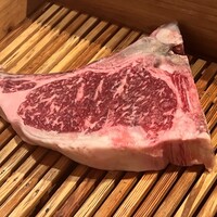 アカミヤコウシ - 