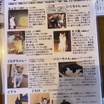 ニコノシッポ - この日の保護猫ちゃん紹介