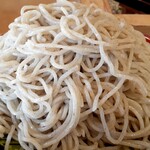 麺処 鵬匠 - ツルツル艶のある、ほぼニ八蕎麦らしい(笑)