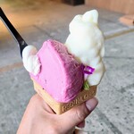 農家の息子がつくるジェラートの店 ハナタバ - 料理写真:ナガノパープル(左)、長野県産りんごソルベ(右)